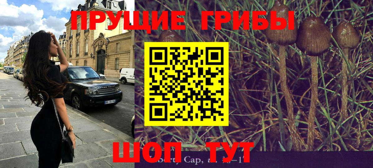 Галлюциногенные грибы мицелий Алейск