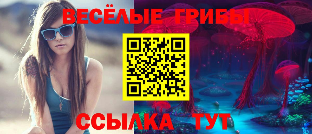 Галлюциногенные грибы Psilocybe  Вход с VPN  Алейск  Псилоцибиновые грибы Magic Shrooms 